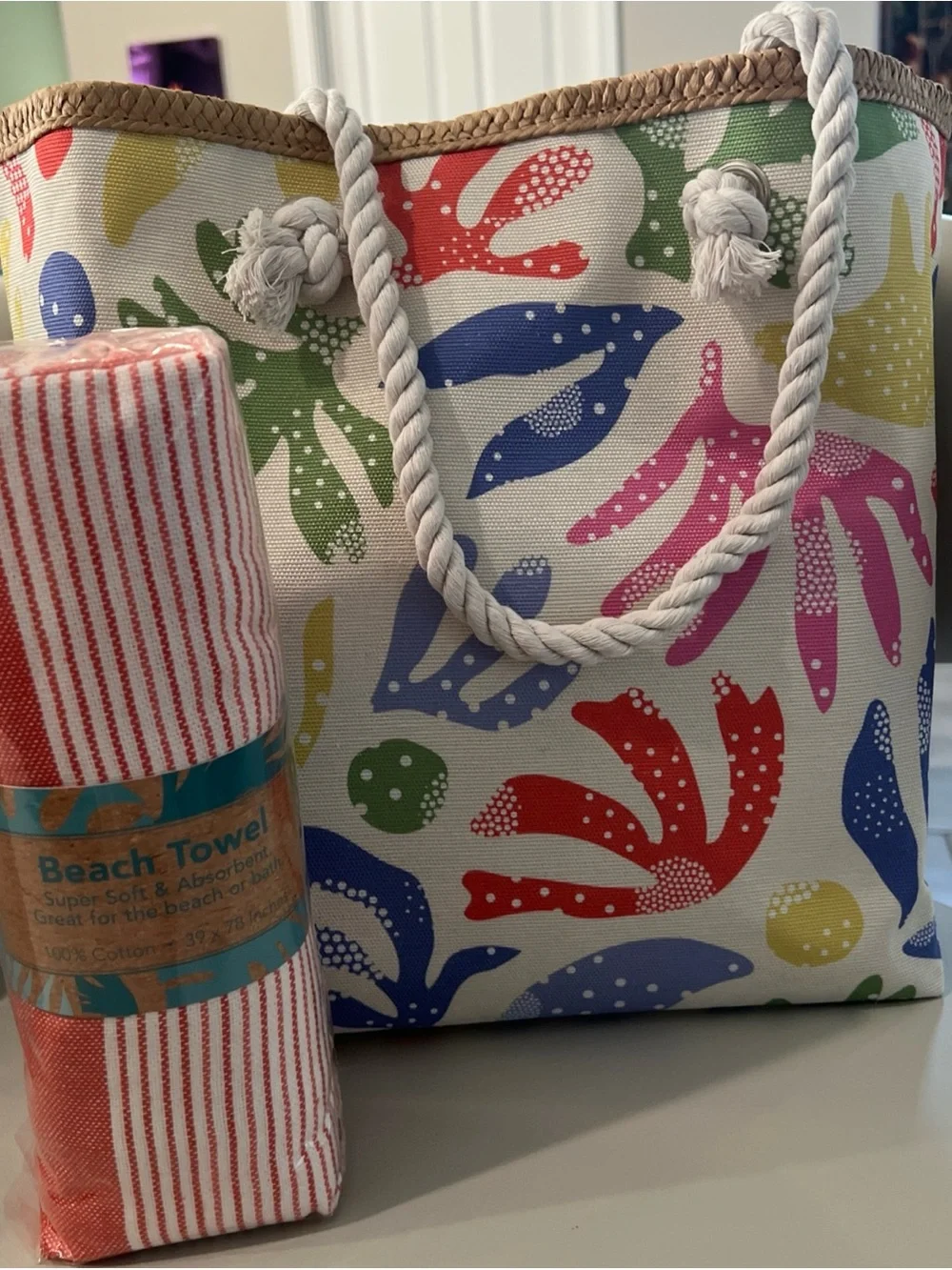 Multicolor Canvas Beach Tote with Rope Handles